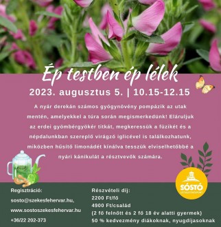 Ép testben ép lélek – túra hideg limonádéval a Sóstón